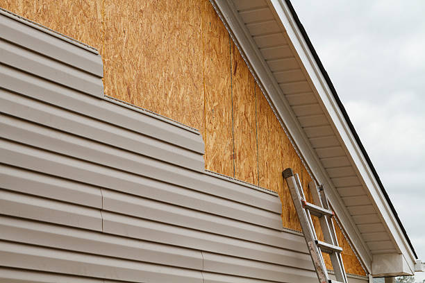 Professional Storm Damage Siding Repair technician working in Saint Bonifacius, MN